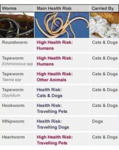 PETS, INTERNAL PARASITES AND PEOPLE